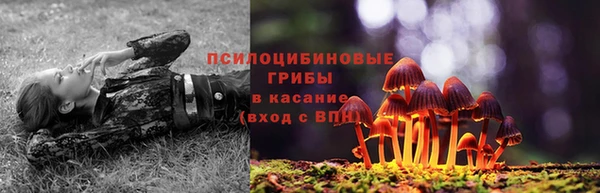 первитин Вязники