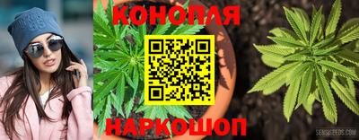 молекула духа Заволжье